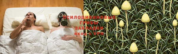 PSILOCYBIN Алагир