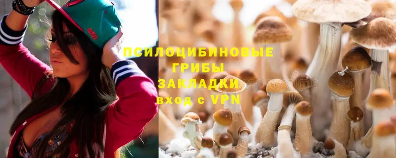 цена   Уфа  Псилоцибиновые грибы Magic Shrooms 