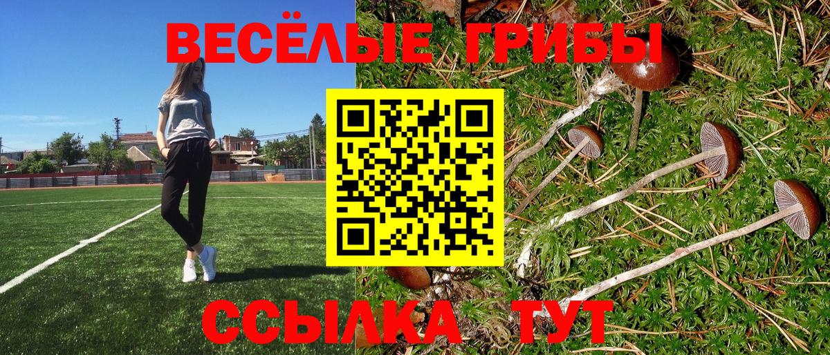 Уфа  Галлюциногенные грибы мухоморы  Галлюциногенные грибы GOLDEN TEACHER  Вход с VPN 